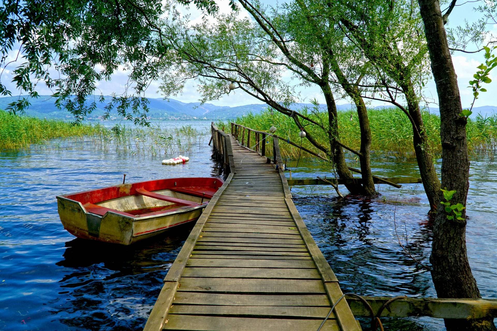 Daily Sapanca Tour from Istanbul