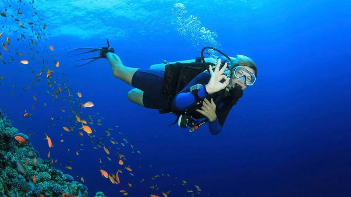 Kuşadası’da Tüplü Dalış